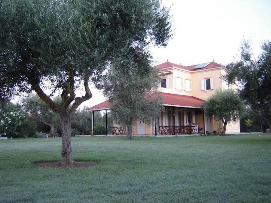 Phyllida Guest House - A2 Zacharo Exterior foto