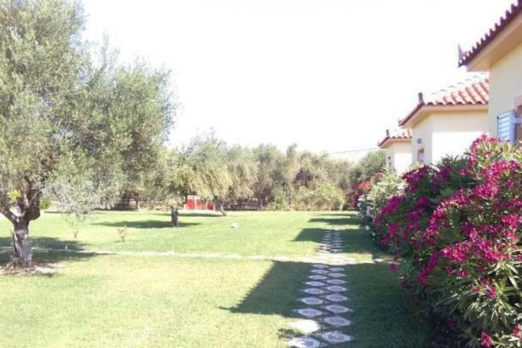 Phyllida Guest House - A2 Zacharo Exterior foto